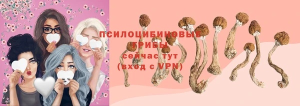 твердый Медногорск