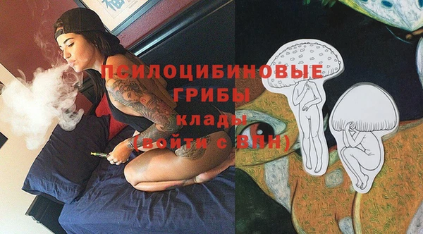 твердый Медногорск