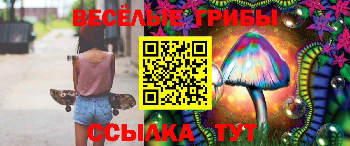 Энгельс  Галлюциногенные грибы Psilocybine cubensis  Вход с VPN 